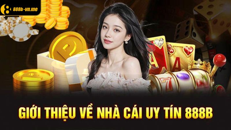 Tóm tắt thông tin giới thiệu 888B